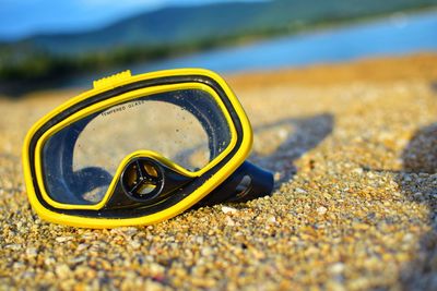 Close-up of yellow leaf on beach