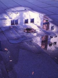 Puddle on street in winter