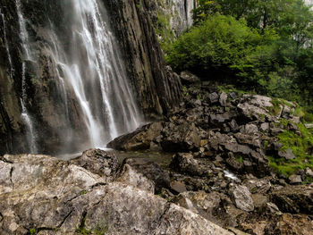 Scenic view of waterfall in forest