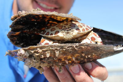 Close-up of man holding crab in shell 