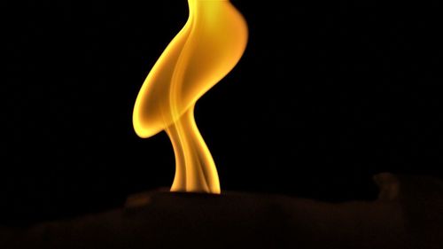 Close-up of yellow leaf against black background