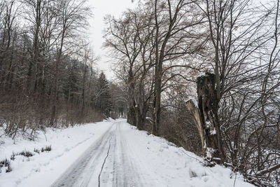 Snow covered road amidst trees during winter