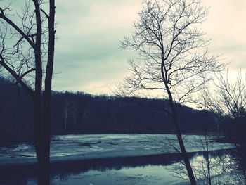 Bare trees on landscape against cloudy sky