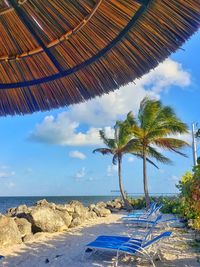 tropical climate