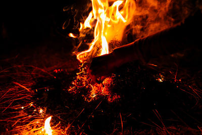 Close-up of bonfire at night