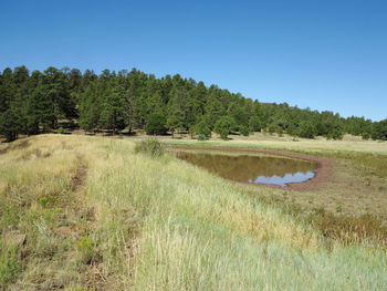 Scenic view of lake against clear sky