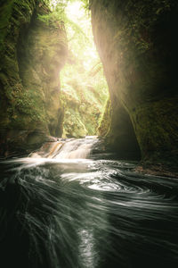 Scenic view of waterfall in forest