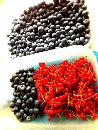 Close-up of food in bowl