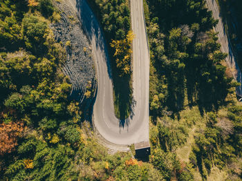 High angle view of road amidst trees in forest