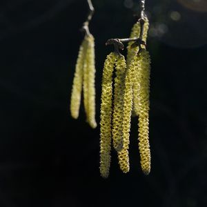 Close-up of hanging at night