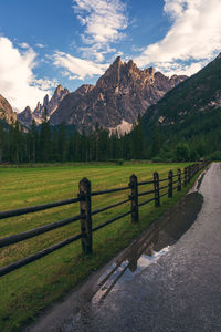 Forest path in the dolomites, val fiscalina.