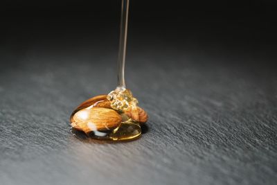 Close-up of almonds with honey on slate
