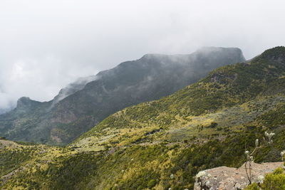 The foggy landscapes in the aberdare ranges on the flanks of mount kenya