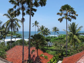 Palm trees by swimming pool by building against sky