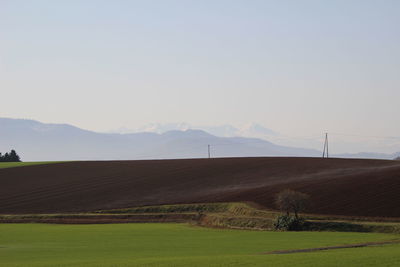 Scenic view of agricultural field against sky