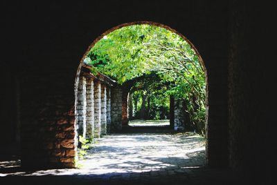 Trees seen through archway