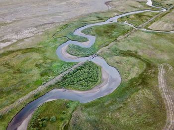 High angle view of plant on field by river