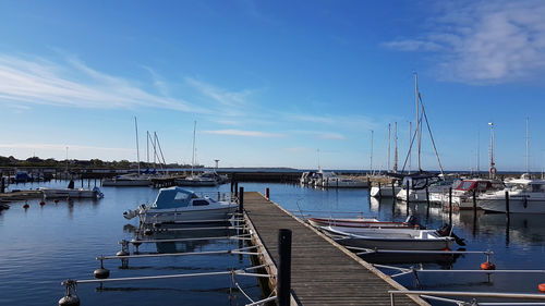 At the harbour on a sunny day