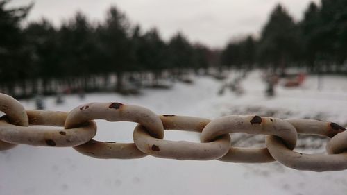 Close-up of metal chain