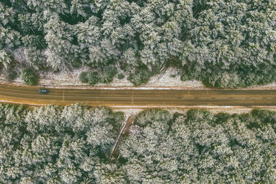 High angle view of road amidst trees growing in forest during winter