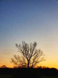 Silhouette bare tree on field against clear sky at sunset