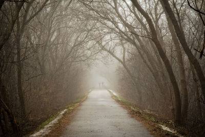 Road amidst trees in forest during winter