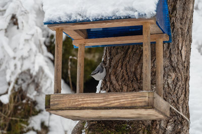 Close-up of wooden post