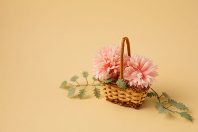 Close-up of pink flower against white background