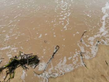 High angle view of wet sand on beach