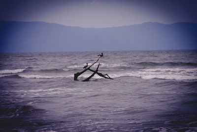 Silhouette man surfing in sea against sky