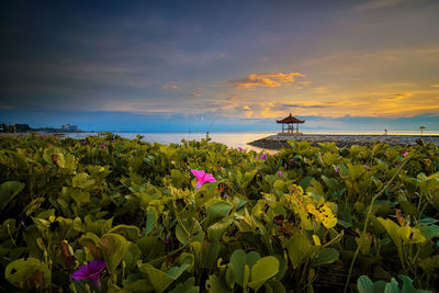 Scenic view of sea against sky at sunset