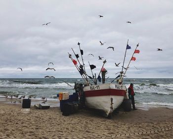 Seagulls flying over beach against sky