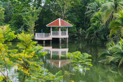 House by palm trees by lake