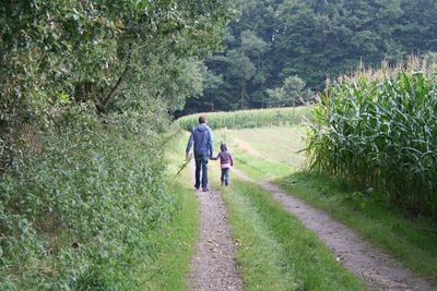 Rear view of father and daughter walking on footpath amidst plants