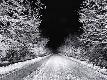 Road passing through trees