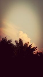 Silhouette of trees against sky at sunset