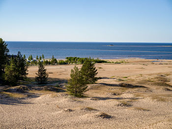 Scenic view of beach against clear sky