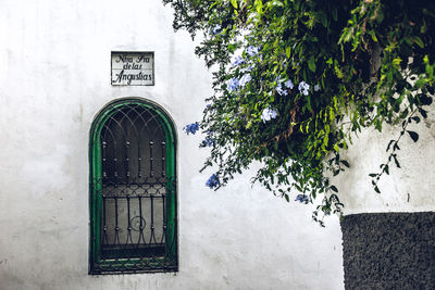 Closed door of building