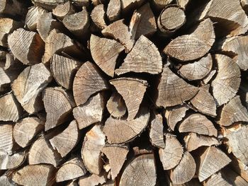 Full frame shot of logs in forest
