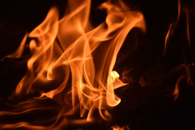 Close-up of bonfire at night