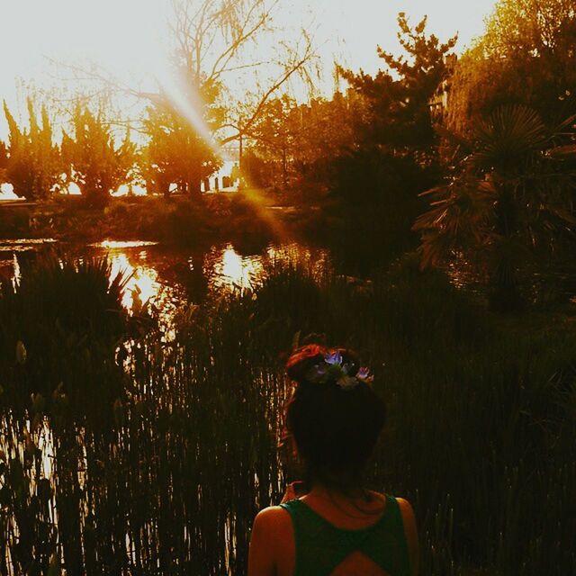 tree, lifestyles, leisure activity, sunset, rear view, person, sun, lake, water, three quarter length, sunlight, standing, nature, sky, orange color, waist up, casual clothing, tranquility