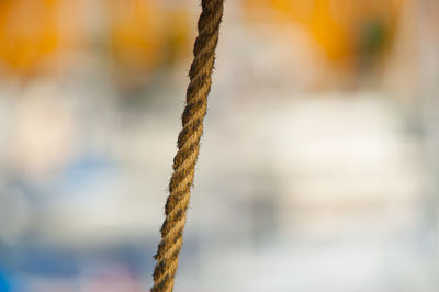 Close-up of rope tied to pole