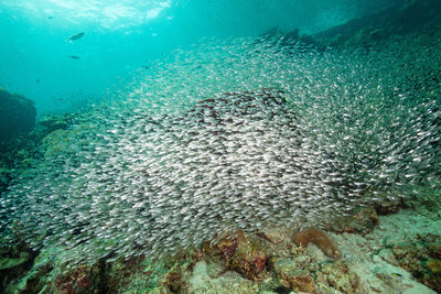 High angle view of sea