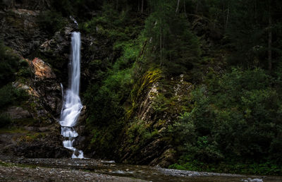 Scenic view of waterfall in forest
