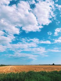 Field and clouds