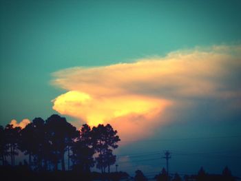 Silhouette trees against sky during sunset