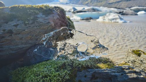 Close-up of rock on beach