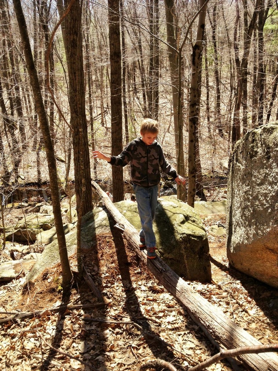 tree, lifestyles, full length, tree trunk, leisure activity, forest, rear view, casual clothing, standing, wood - material, bare tree, nature, woodland, person, childhood, tranquility, day, warm clothing