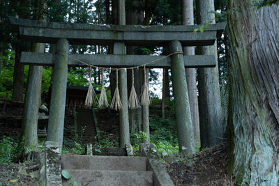 Old wooden structure amidst trees and plants in forest