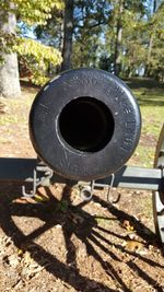 Close-up of metal on tree